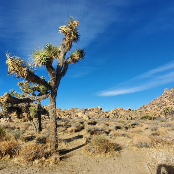 🎩Bookmark my closet ✨ - Picture 5 of 9